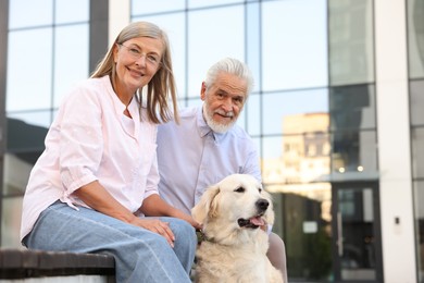 Photo of Portrait of happy senior couple with adorable Golden Retriever dog on bench outdoors, low angle view. Space for text
