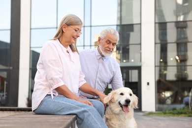 Photo of Happy senior couple with adorable Golden Retriever dog on bench outdoors. Space for text