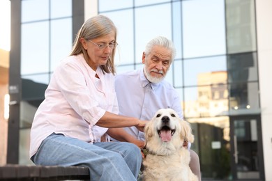 Photo of Senior couple with adorable Golden Retriever dog on bench outdoors, low angle view. Space for text