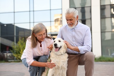 Photo of Happy senior couple with adorable Golden Retriever dog outdoors