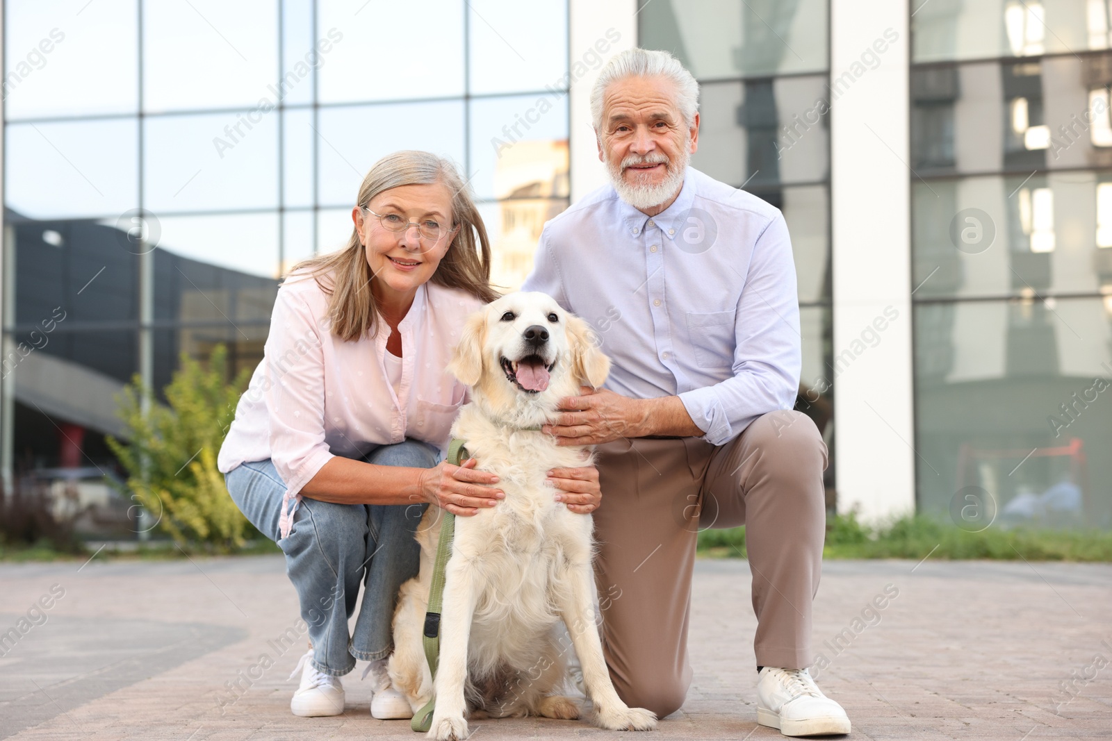 Photo of Happy senior couple with adorable Golden Retriever dog outdoors