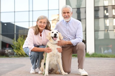 Photo of Happy senior couple with adorable Golden Retriever dog outdoors