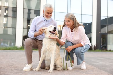 Photo of Happy senior couple with adorable Golden Retriever dog outdoors