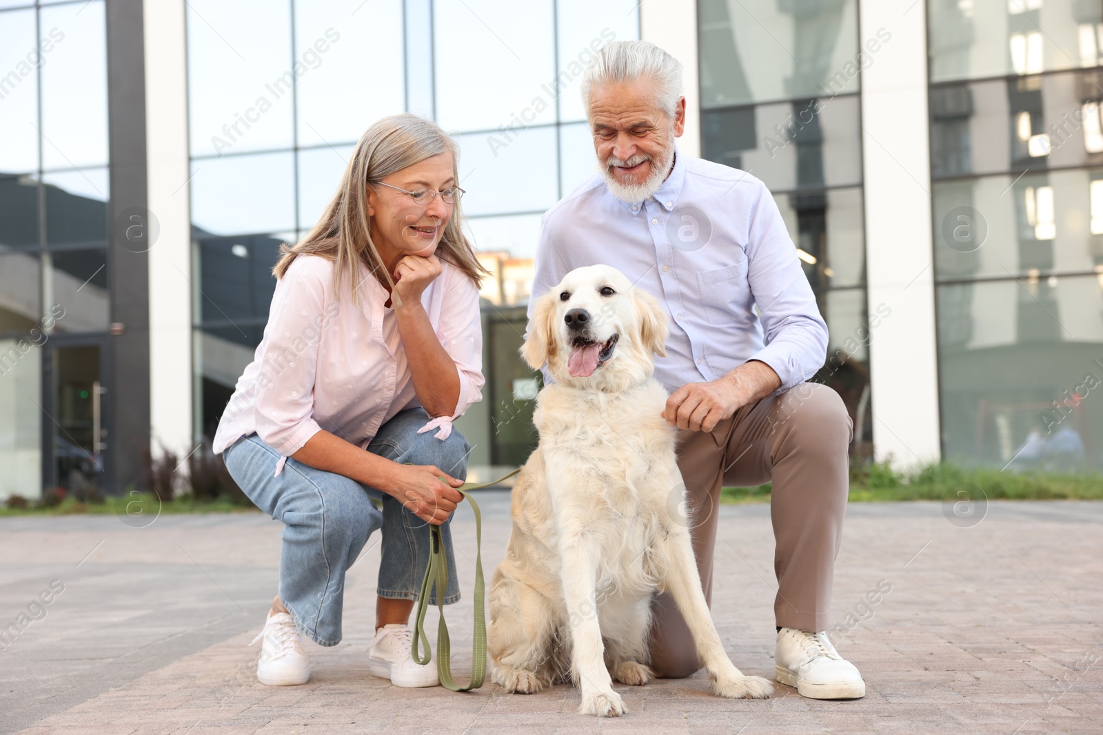 Photo of Happy senior couple with adorable Golden Retriever dog outdoors