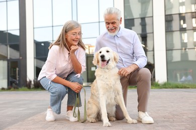 Photo of Happy senior couple with adorable Golden Retriever dog outdoors