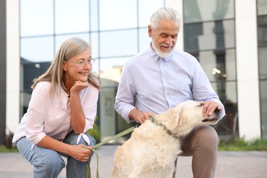 Photo of Happy senior couple with adorable Golden Retriever dog outdoors