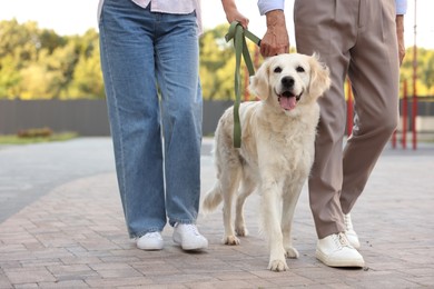 Photo of Senior couple walking with adorable Golden Retriever dog outdoors, closeup