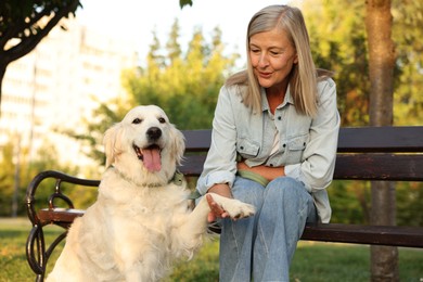 Photo of Adorable Golden Retriever dog giving paw to owner outdoors