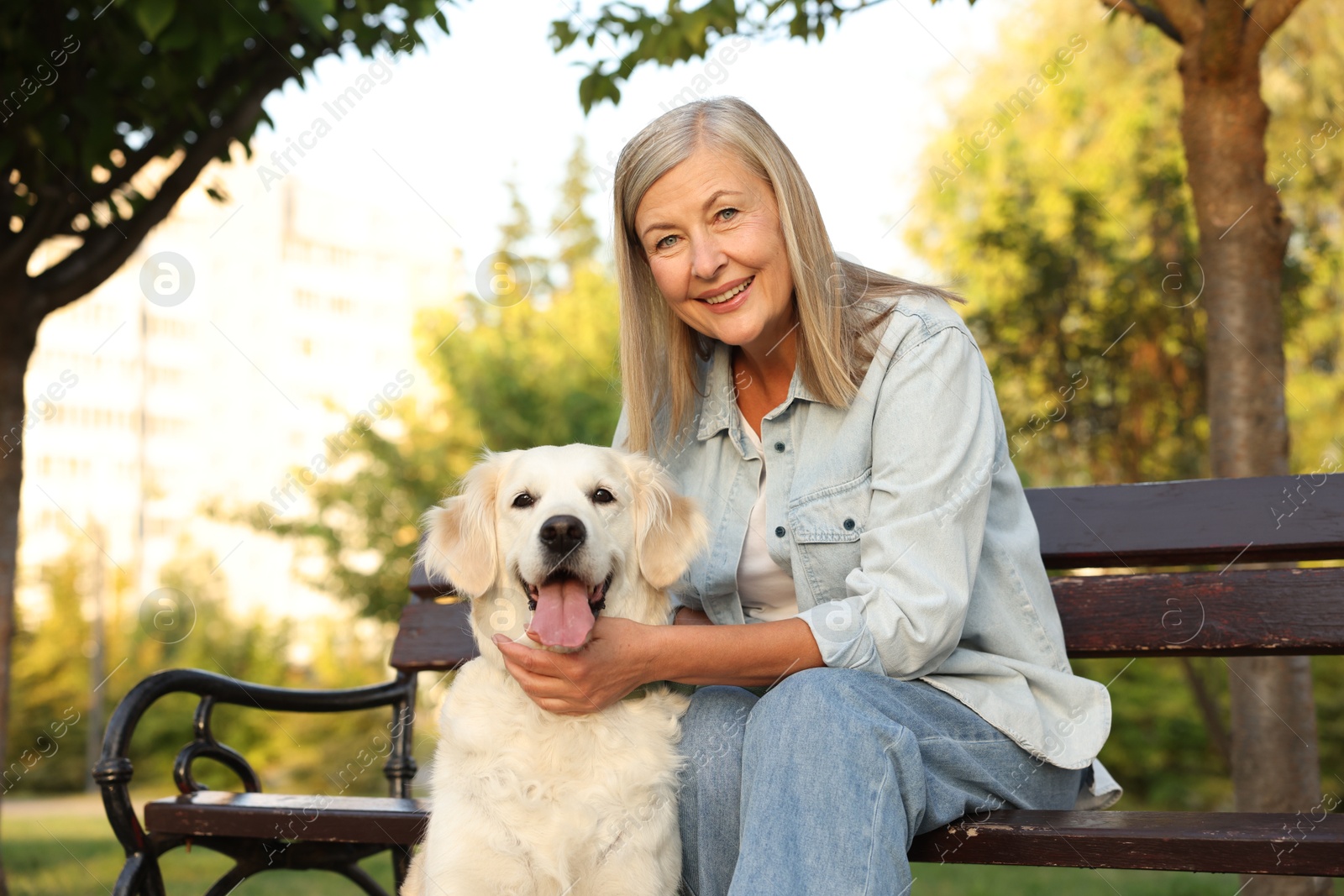 Photo of Portrait of smiling senior woman with adorable Golden Retriever dog on bench outdoors