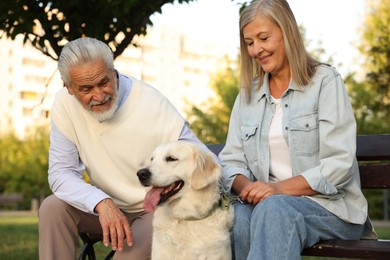 Photo of Senior couple with adorable Golden Retriever dog on bench outdoors