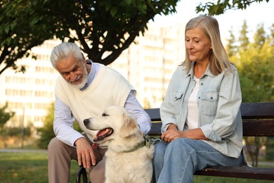 Photo of Senior couple with adorable Golden Retriever dog on bench outdoors