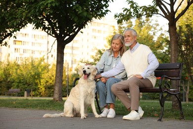 Photo of Senior couple with adorable Golden Retriever dog on bench outdoors. Space for text