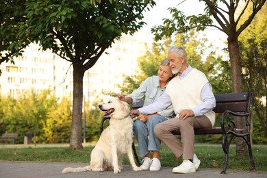 Photo of Senior couple with adorable Golden Retriever dog on bench outdoors. Space for text