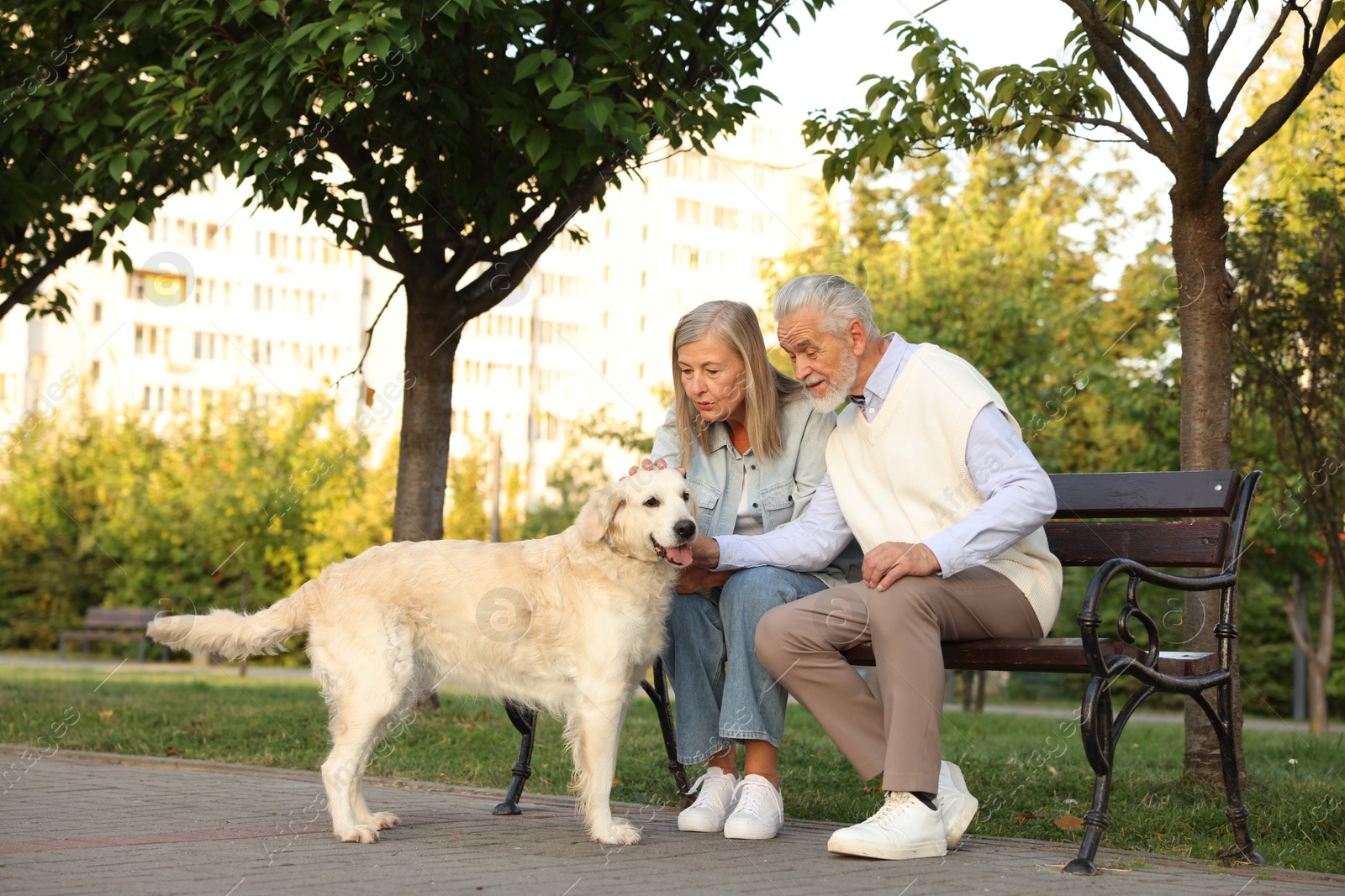 Photo of Senior couple with adorable Golden Retriever dog on bench outdoors