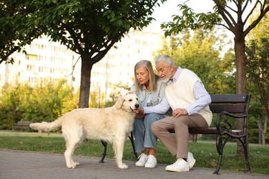 Photo of Senior couple with adorable Golden Retriever dog on bench outdoors