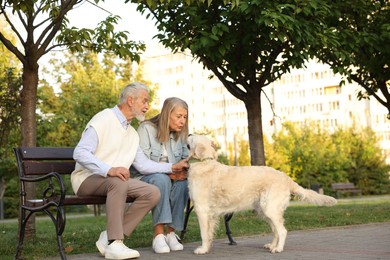 Photo of Senior couple with adorable Golden Retriever dog on bench outdoors