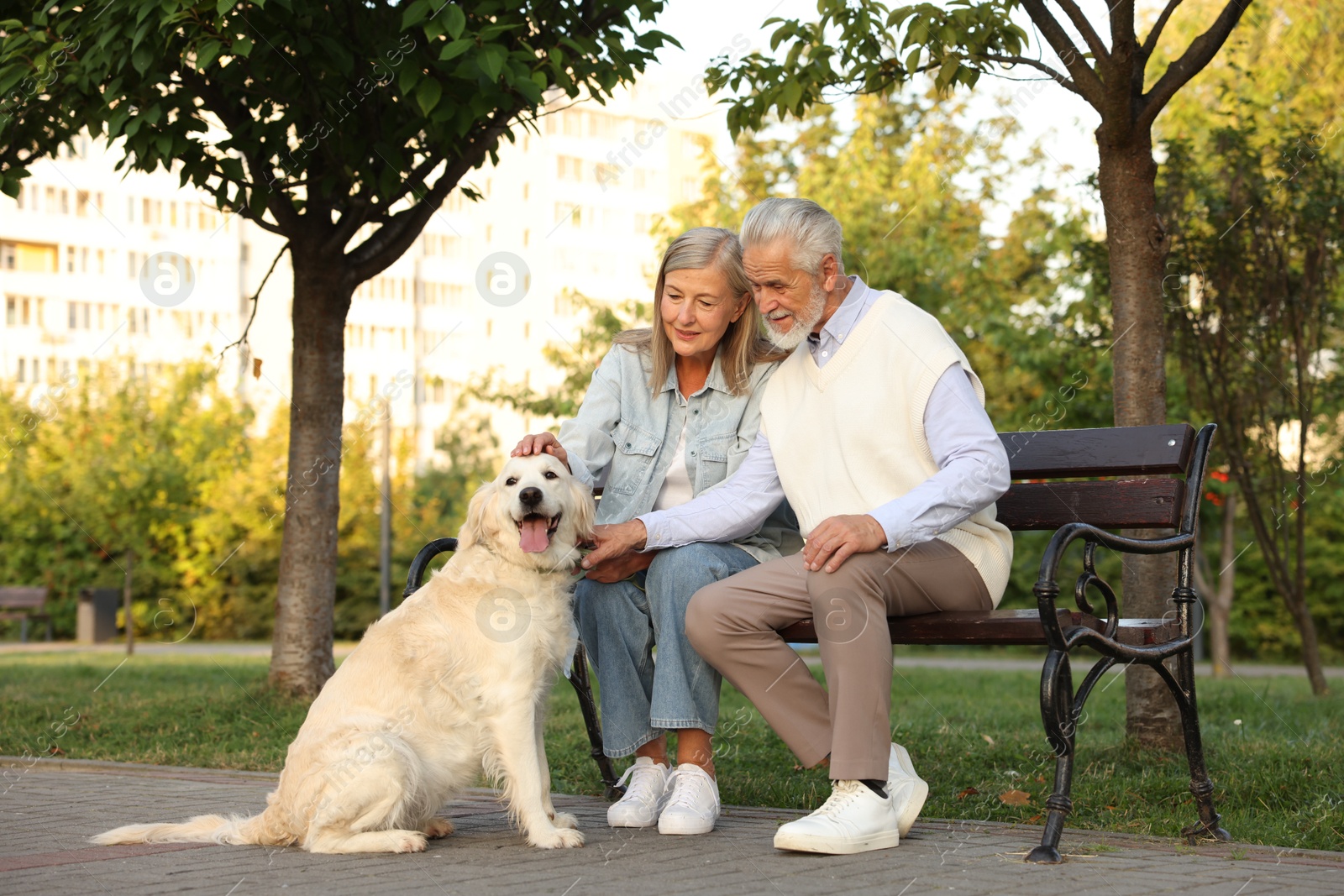 Photo of Senior couple with adorable Golden Retriever dog on bench outdoors