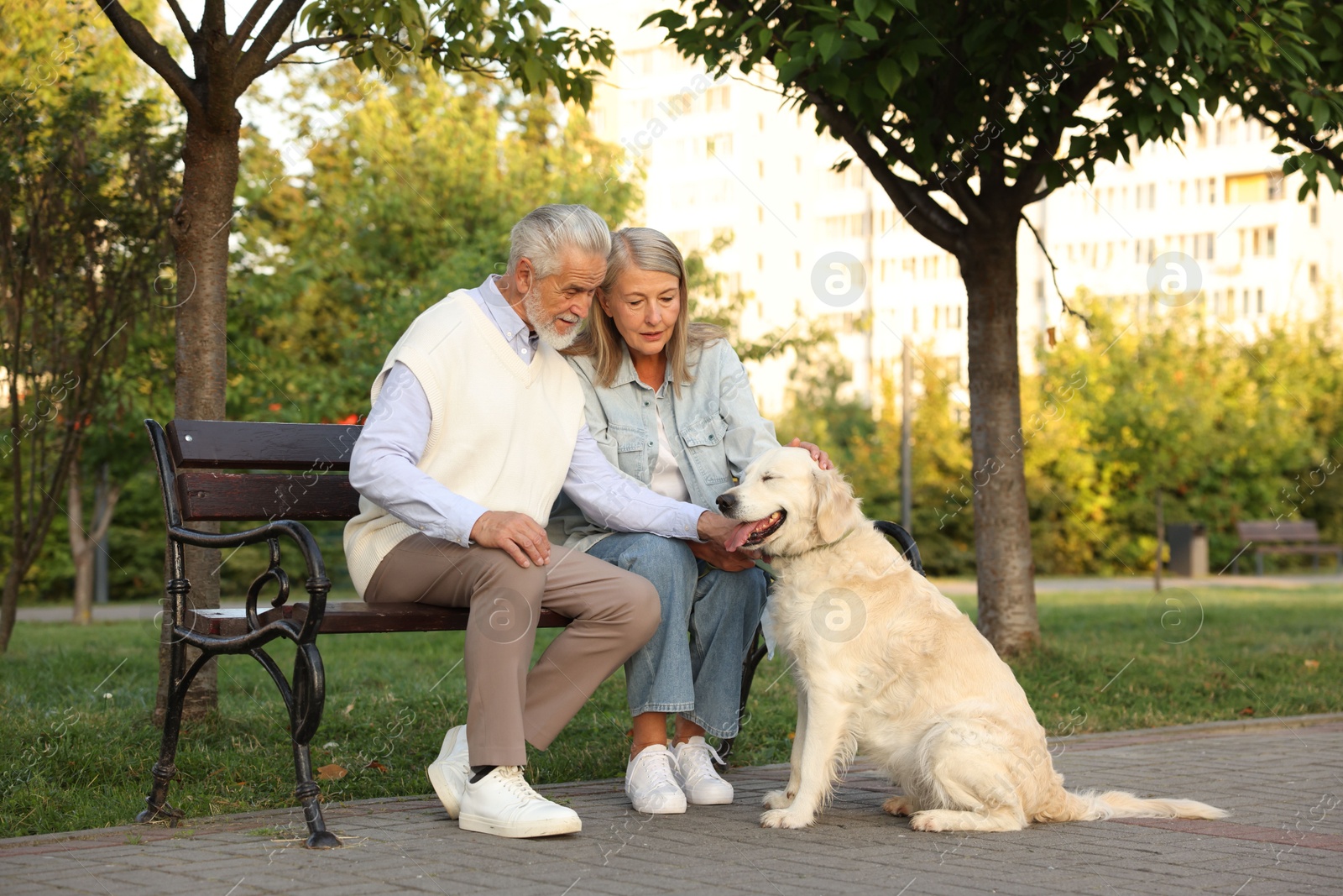 Photo of Senior couple with adorable Golden Retriever dog on bench outdoors