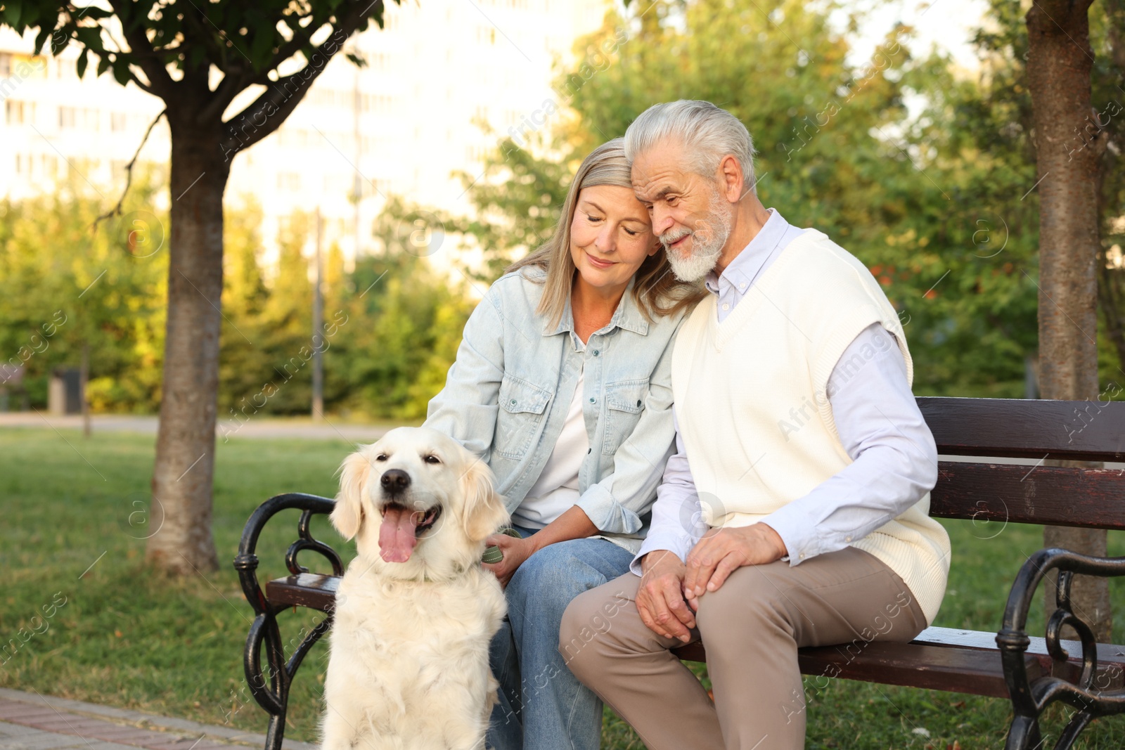 Photo of Happy senior couple with adorable Golden Retriever dog on bench outdoors