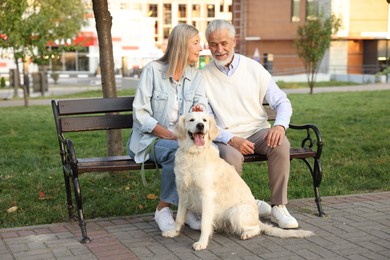 Photo of Happy senior couple with adorable Golden Retriever dog on bench outdoors