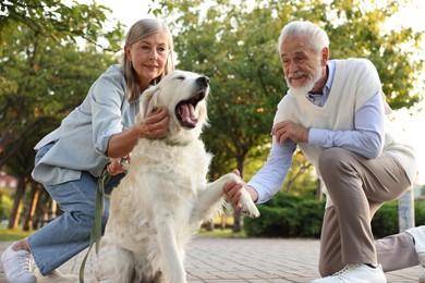 Photo of Happy senior couple with adorable Golden Retriever dog outdoors, low angle view