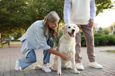 Photo of Senior couple with adorable Golden Retriever dog outdoors, closeup