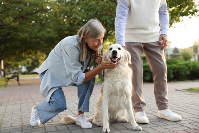 Photo of Senior couple with adorable Golden Retriever dog outdoors, closeup