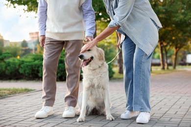 Photo of Senior couple with adorable Golden Retriever dog outdoors, closeup