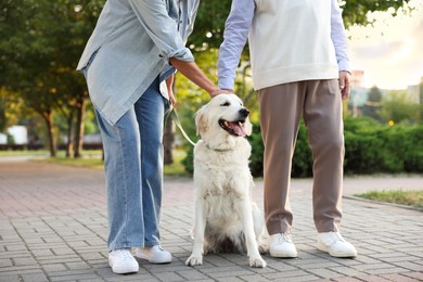 Photo of Senior couple with adorable Golden Retriever dog outdoors, closeup
