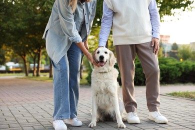 Photo of Senior couple with adorable Golden Retriever dog outdoors, closeup