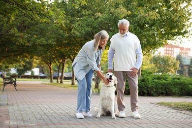 Photo of Senior couple with adorable Golden Retriever dog outdoors. Space for text