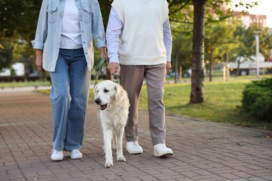 Photo of Senior couple walking with adorable Golden Retriever dog outdoors, closeup. Space for text
