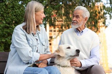 Photo of Happy senior couple with adorable Golden Retriever dog on bench outdoors