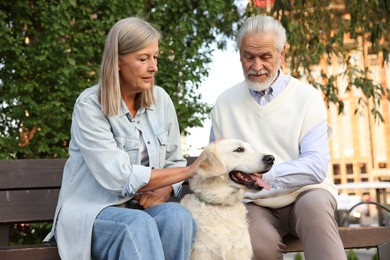 Photo of Senior couple with adorable Golden Retriever dog on bench outdoors
