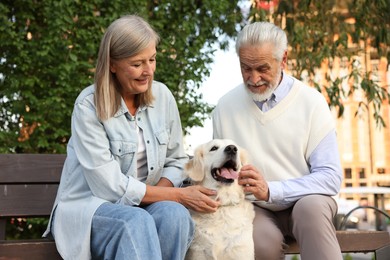 Photo of Happy senior couple with adorable Golden Retriever dog on bench outdoors
