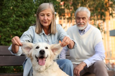 Photo of Senior couple with adorable Golden Retriever dog on bench outdoors