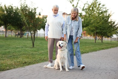 Photo of Senior couple with adorable Golden Retriever dog outdoors