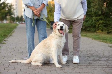 Photo of Senior couple with adorable Golden Retriever dog outdoors, closeup