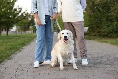 Photo of Senior couple with adorable Golden Retriever dog outdoors, closeup