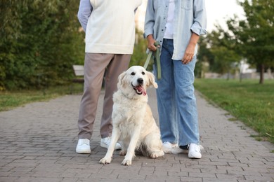 Photo of Senior couple with adorable Golden Retriever dog outdoors, closeup
