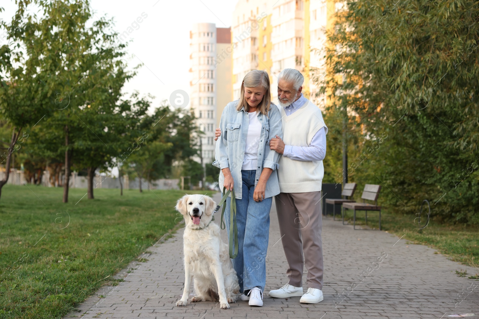 Photo of Senior couple with adorable Golden Retriever dog outdoors