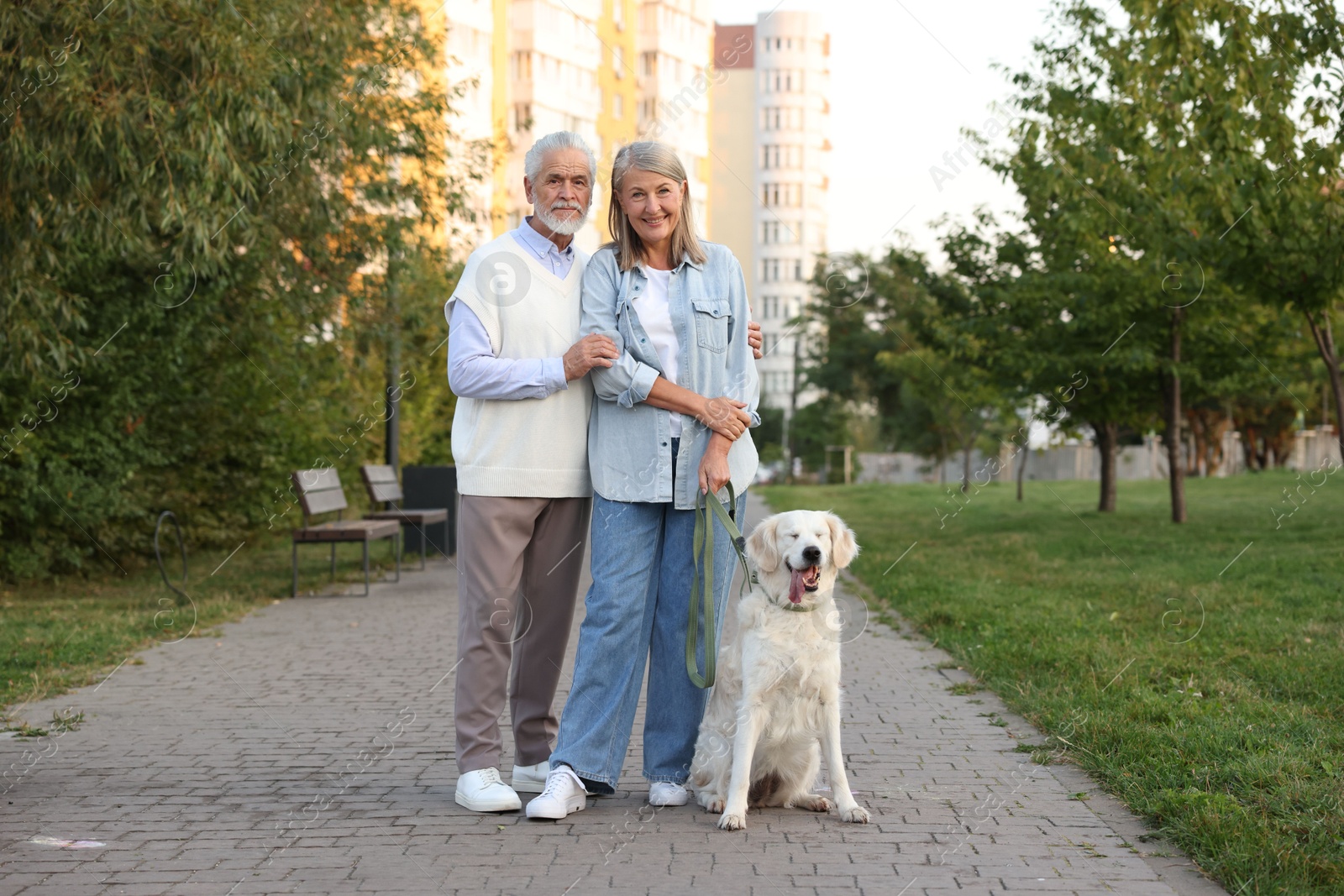Photo of Happy senior couple with adorable Golden Retriever dog outdoors