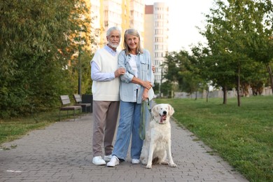 Photo of Happy senior couple with adorable Golden Retriever dog outdoors