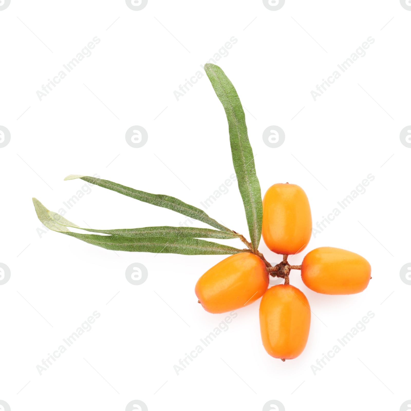 Photo of Fresh sea buckthorn berries and green leaves isolated on white, top view