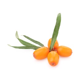 Photo of Fresh sea buckthorn berries and green leaves isolated on white