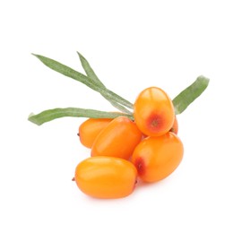 Photo of Fresh sea buckthorn berries and green leaves isolated on white