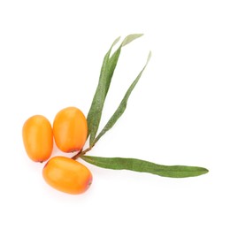 Photo of Fresh sea buckthorn berries and green leaves isolated on white, top view