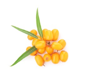 Photo of Fresh sea buckthorn berries and green leaves isolated on white, top view
