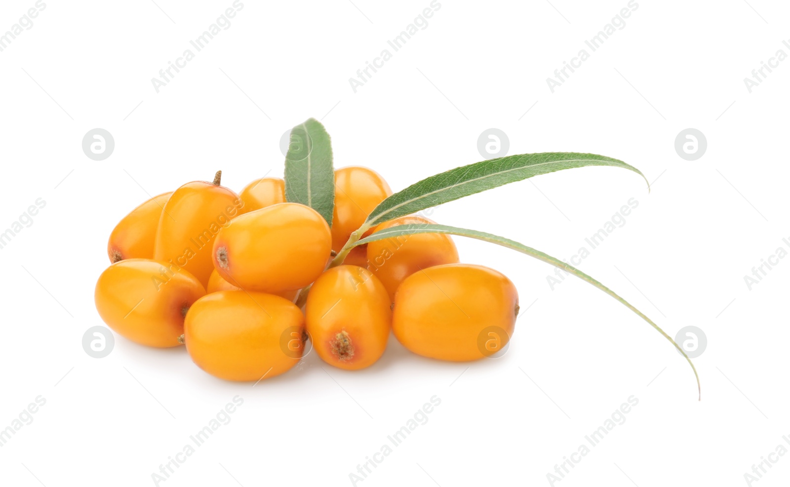 Photo of Fresh sea buckthorn berries and green leaves isolated on white