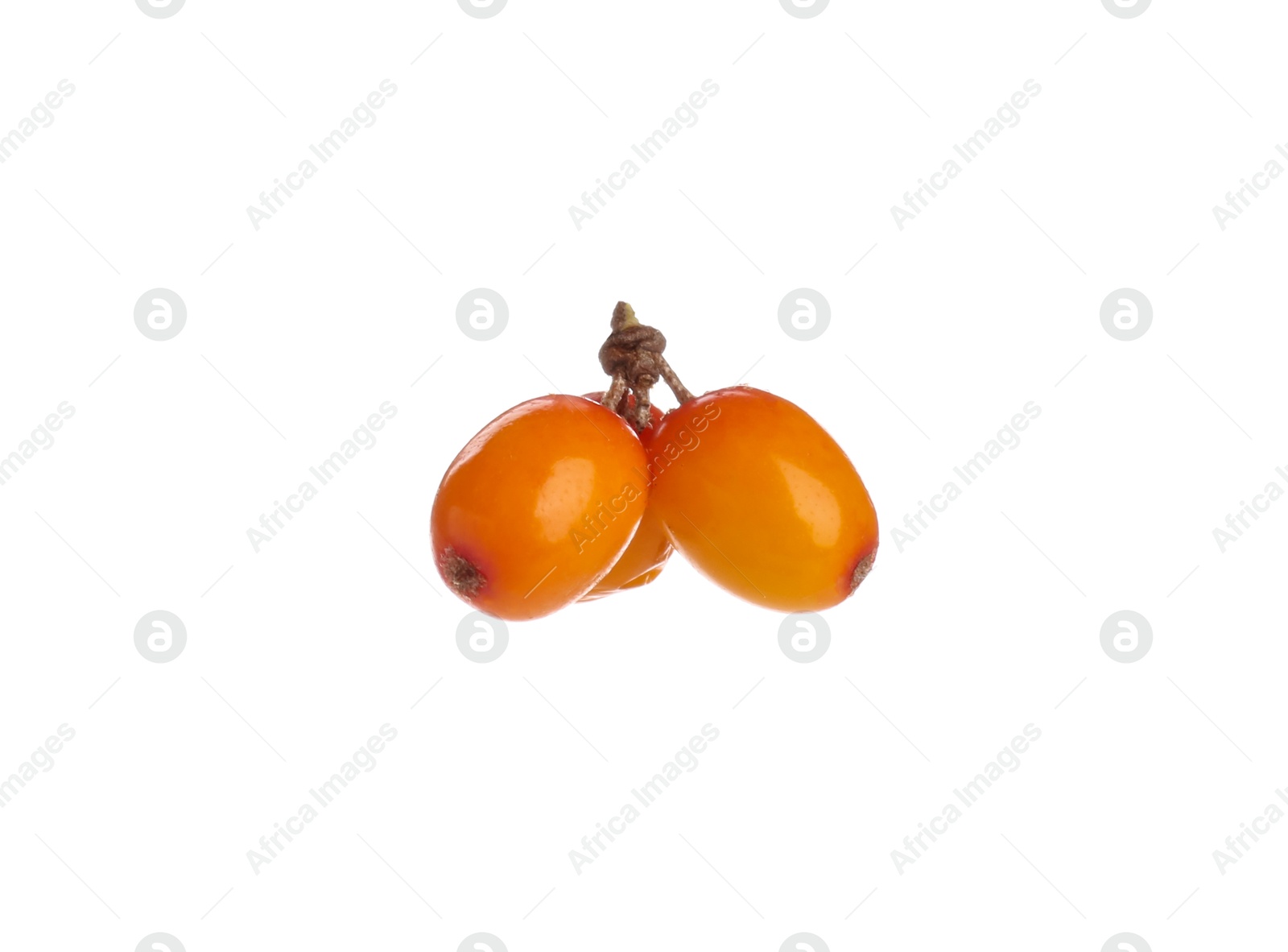 Photo of Fresh ripe sea buckthorn berries isolated on white